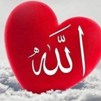 GNŞMehmet 🇹🇷 (@mhm017222) Twitter profile photo