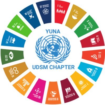 UN Chapter UDSM