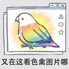 方糖/Sugarcube丨多坑,很少很少很少画画但是喜欢交朋友🥺中文/English/Deutsch,超级大杂食但是不吃bl丨卡宝鸡腿。。🔥