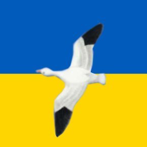 snowgoose2001's profile picture. 北海道オホーツク地方の小さな町でウッドクラフトを作っています。
スチールギター練習中。