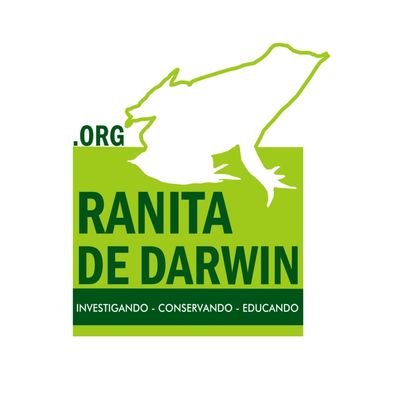 ONG Ranita de Darwin