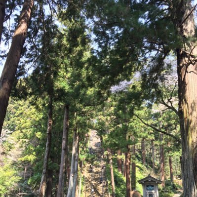 7VkAtwwS6QFog4m's profile picture. よろしくお願いします。