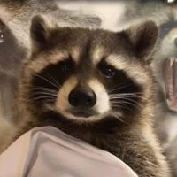 the dude (@baltimorejack65) 's Twitter Profile