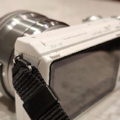 wmeng8503's profile picture. 