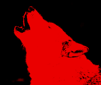UK based photographer

instagram - theirishwolfphotography