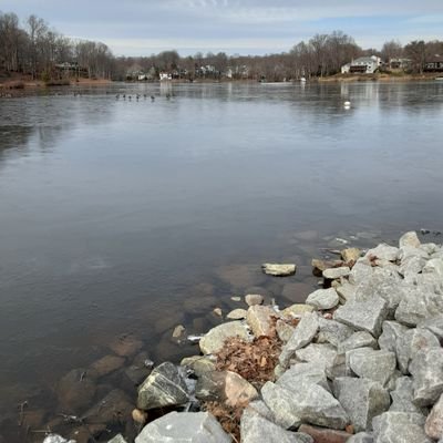 Marshi356's profile picture. Son of the king almighty