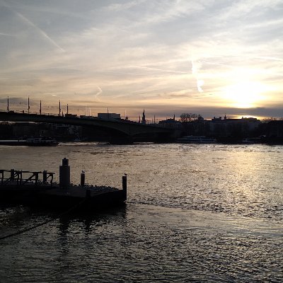 Spontane_Idee's profile picture. 