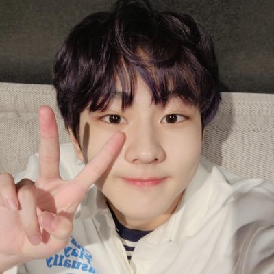 sunflwrsunooo's profile picture. jungwon’s favorite person ( real ) !!