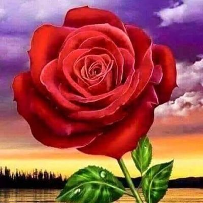 ssddww392's profile picture. 