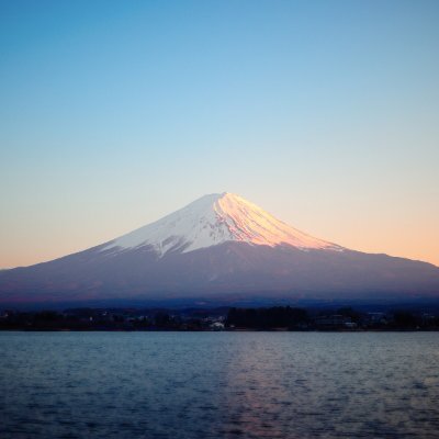 bluertly's profile picture. hello world！