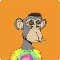 NFT Jake (@nft__13) 's Twitter Profile