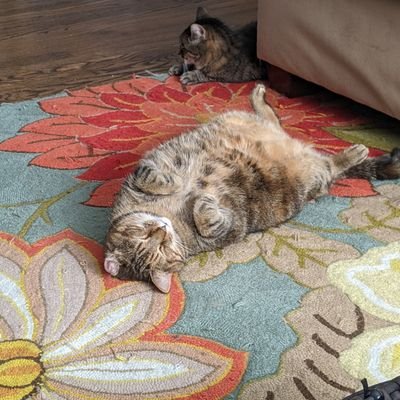 yotaArmai's profile picture. why can't anyone get my name right?