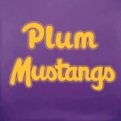 Plum Cheerleading