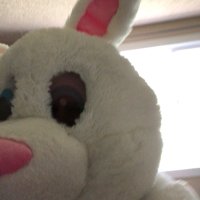 SentientBunnySuit🐰(@SuitSentient) 's Twitter Profile Photo