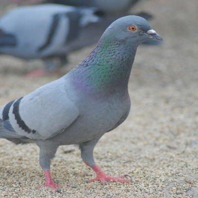 2018Mardi's profile picture. Twitch tiktok and youtube