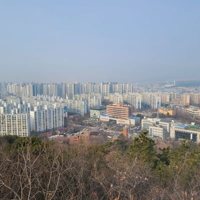 truckmecanic's profile picture. 호기심 대마왕 특히 Y존에 털