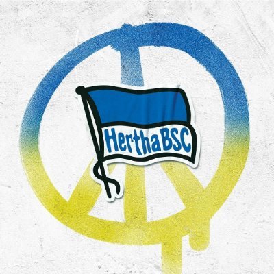 Bienvenido al canal oficial del Hertha Berlín en español. #hahohe 🇩🇪: @HerthaBSC // 🇺🇸: @HerthaBSC_EN