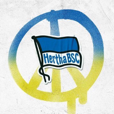 Hertha Berlín Español Profile