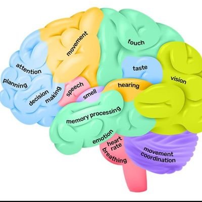 AsmatkhanTreen's profile picture. Alittle knowledge,s dangerous for health.