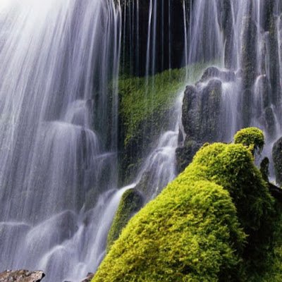 MickaMick88's profile picture. 