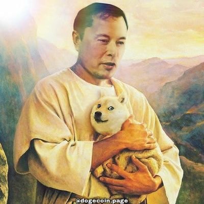 sachok06's profile picture. #BTC TO THE MOON🚀