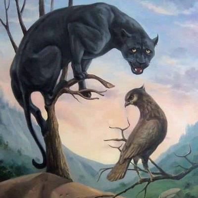 AHRocket5's profile picture. 