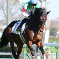 しん (@shin_mashin) 's Twitter Profile Photo