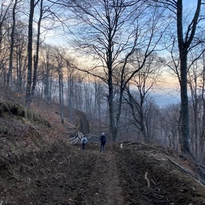 Floreth1958's profile picture. Amateur Généraliste. Retraité BioTechs. Contre l’obscurantisme, les extrêmes. Avec🇺🇦. Européen. Libéral. Classique. Je suis qui me suit.