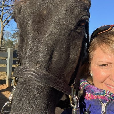 Design, nature, logic, fast cars and horses, #SOLAR, #MAGA
US career politicians are turning the US into a kleptocracy!
See pinned tweet=Project Seegas