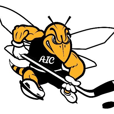 Official Twitter of AIC Club Men's Ice Hockey
Proud member of @achamensd2 @SECHLHockey