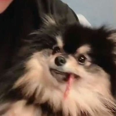 _nocontrol0's profile picture. 