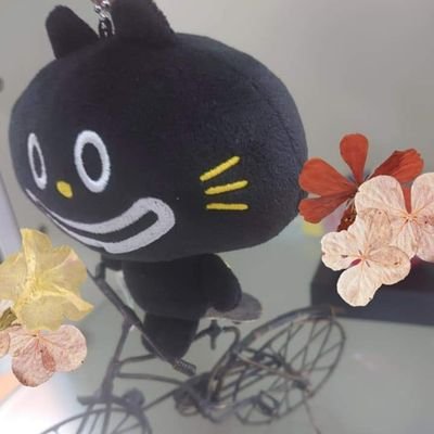 oimomas's profile picture. あずき　うなも　お芋　たい焼き　ソフトクリーム。
食いしん坊とひとり旅。
語学、うつわ、水泳、お山。
仕事は国家資格のなんかやってます。