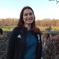 kitleleandra (@kitleleandra) 's Twitter Profile