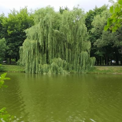 Maria_K_M's profile picture. https://t.co/58oaeq83h2