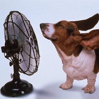 lbi1983's profile picture. .