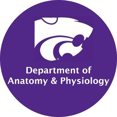 Department of Anatomy & Physiology