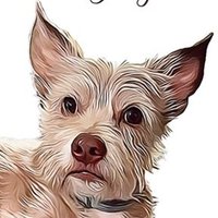 Denise P Rescue Dog Mom 🇺🇦🌊🌊🌊🐝🌻🐝🌻🐝💉💉💉 (@padenpur) 's Twitter Profile Photo