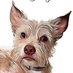 Denise P Rescue Dog Mom ๐บ๐ฆ๐๐๐๐๐ป๐๐ป๐๐๐๐ (@padenpur) Twitter profile photo Denise P Rescue Dog Mom ๐บ๐ฆ๐๐๐๐๐ป๐๐ป๐๐๐๐ (@padenpur) Twitter profile photo