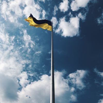 jrtyelm's profile picture. 