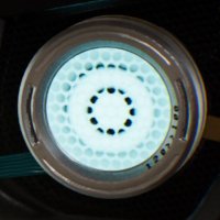 Vote4pedro (@ham1010101) 's Twitter Profile