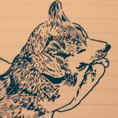 تويتر ぶるあ على تويتر Un3d これなんかどうでしょうか T Co Emvk6jntyv