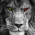 Bülent (@kriptoramsesius) Twitter profile photo Bülent (@kriptoramsesius) Twitter profile photo