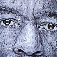 Down Rabbit, Podcast (@mydownrabbit) 's Twitter Profile