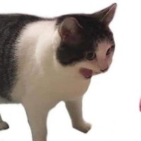 SoyPp07 (@pp07soy) 's Twitter Profile