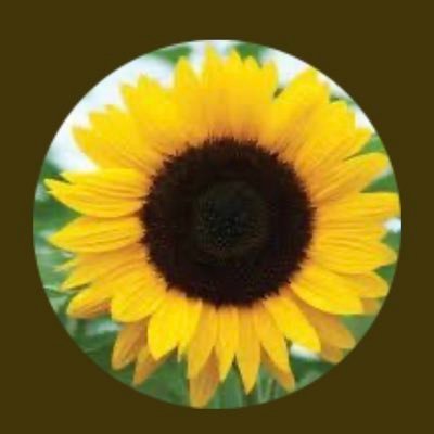 Will Sollyさんのプロフィール画像