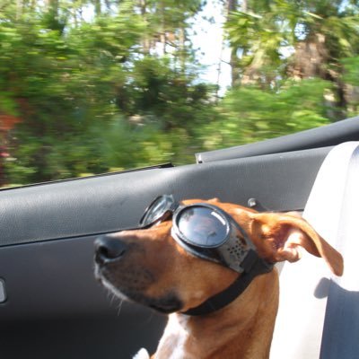 Planelyfun's profile picture. International flight attendant, news addict, reformed party animal, independant political positionist, history buff, gamer and psudo geek.