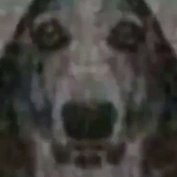 pianoslave2000's profile picture. 