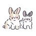 토끼입양홍보계정 (@tokkiluv3637) Twitter profile photo 토끼입양홍보계정 (@tokkiluv3637) Twitter profile photo