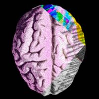 🧠 Ⱥɾէ.ìçմӀąէҽժ.Ɱìղժʂ 🧠 (@art_iculatednft) 's Twitter Profile