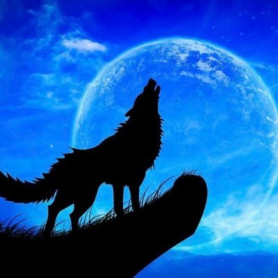 huynhlamsd's profile picture. Firstly, i join twitter